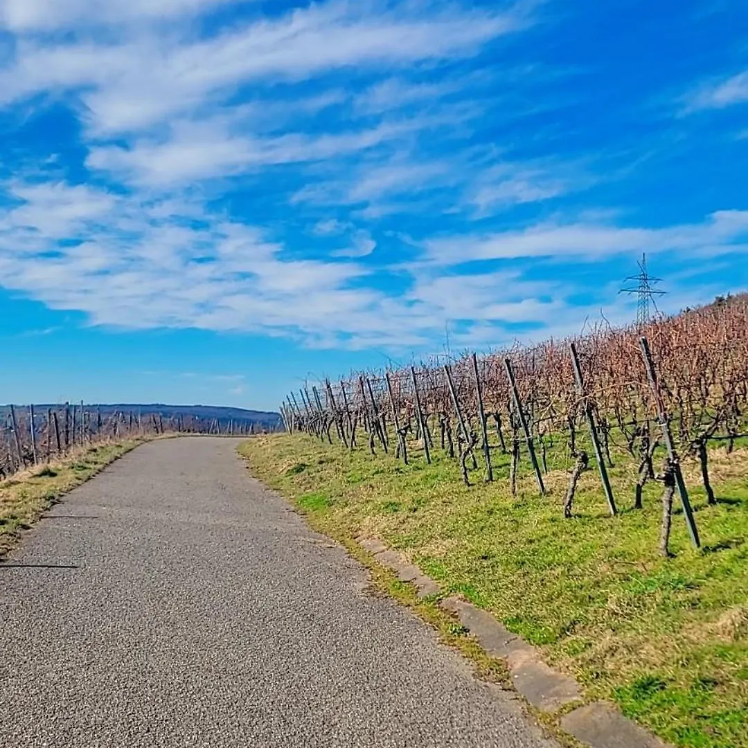 Panoramablick & Weinidylle - Vineyard Suites Elsenfeld Apartment